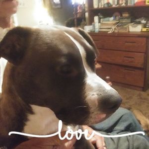 Meet your Posher, Pamela